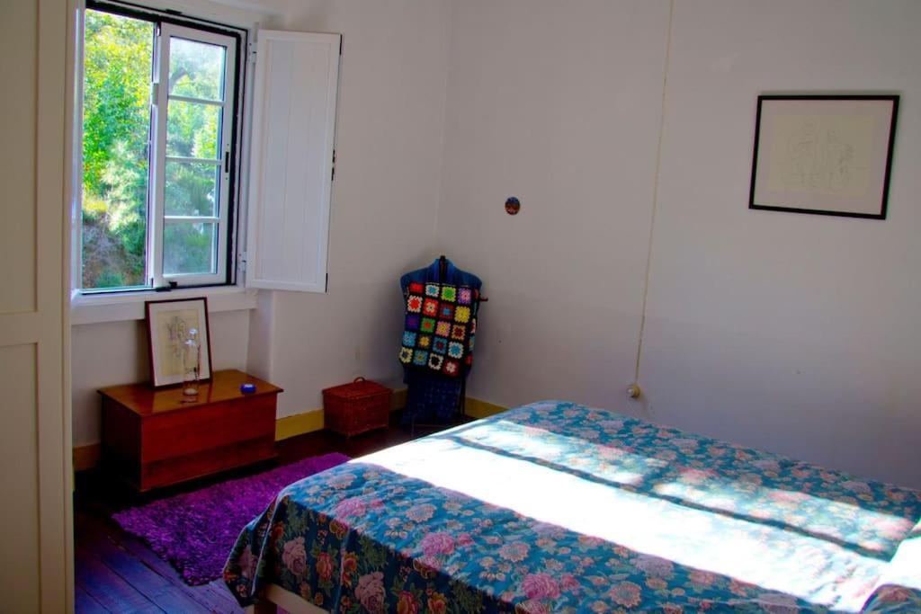 הוילה Serra Casa Da Ruiva מראה חיצוני תמונה