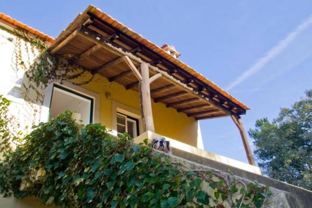 הוילה Serra Casa Da Ruiva מראה חיצוני תמונה