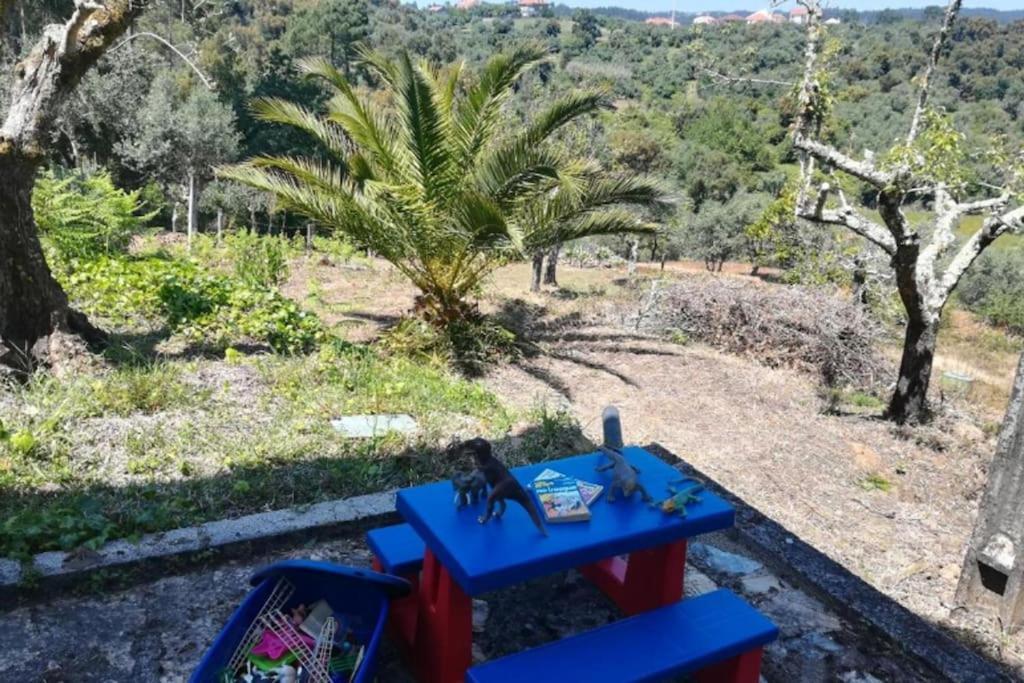 הוילה Serra Casa Da Ruiva מראה חיצוני תמונה