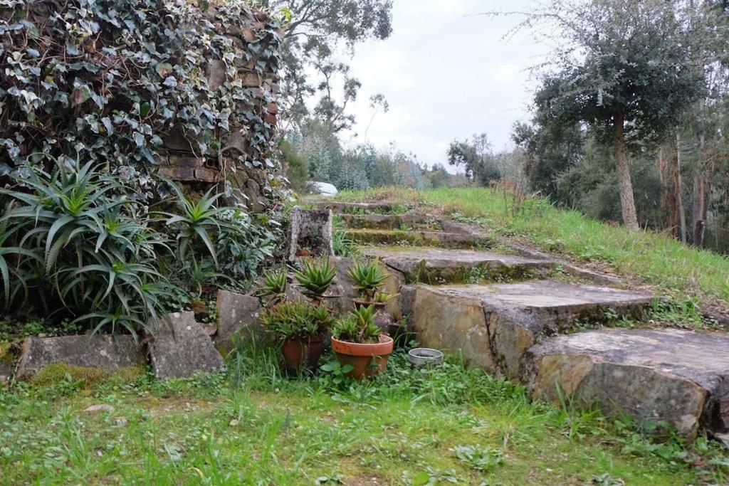 הוילה Serra Casa Da Ruiva מראה חיצוני תמונה